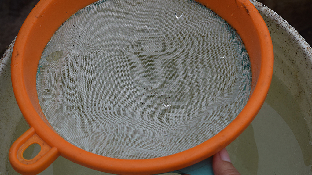 Las comunidades rurales de María La Baja se quejan de que en el agua que recogen de las plumas aparecen pequeños gusanos. Foto: Carlos Antonio Mayorga Alejo.