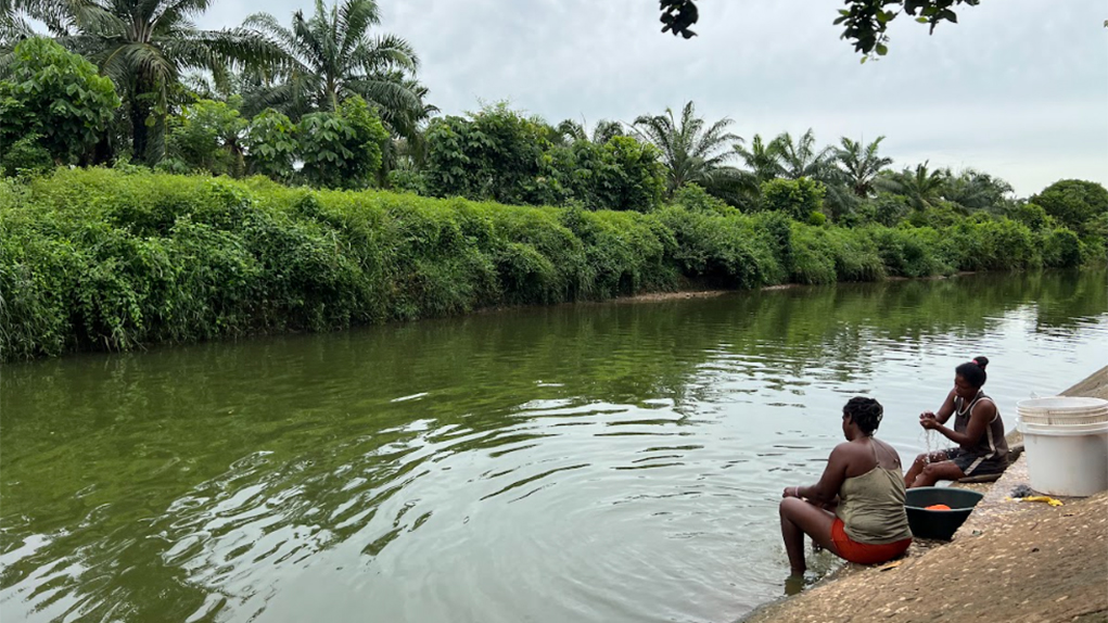 The women of La Suprema wash their clothes on the banks of the canal that runs in front of the village and is fed by the Pondaje del Viento or La Piscina dam, a few metres from the village. In the foreground, the African palm plantations. Photo: Carlos Antonio Mayorga Alejo.