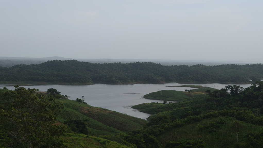 Most of the landscape of María La Baja is covered in monocultures. Even around and on the banks of the San José de Playón reservoir there are huge plantations of African oil palm. Photo: Carlos Antonio Mayorga Alejo.